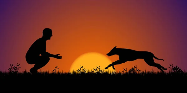 Silhouette eines Mannes mit seinem Hund auf dem Gras. Hundetraining — Stockvektor