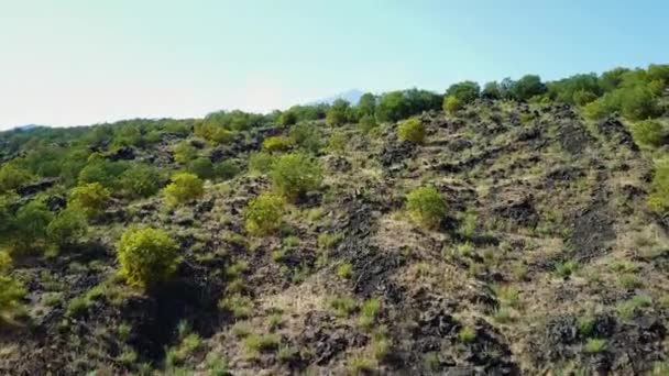 Légifelvételek az Etna — Stock videók