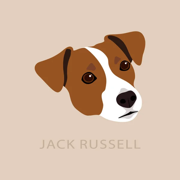 Jack russell terrier huvud — Stock vektor