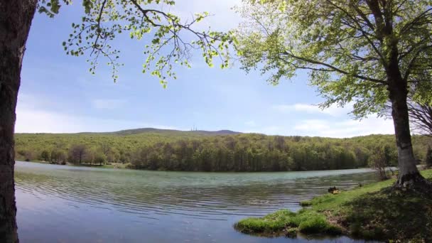 Natureza Paisagem Lago Floresta Com Céu Nuvens Time Lapse — Vídeo de Stock