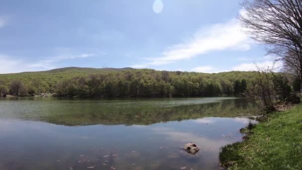 Menina Borda Lago Olhando Para Vista Floresta Lago Panorama — Vídeo de Stock