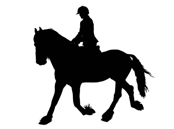 Silueta de jinete femenino en caballo Lipizzaner — Vector de stock