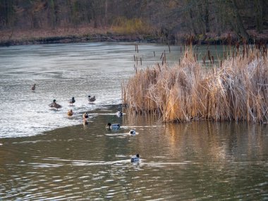 İlkbahar aylarında göl manzarası