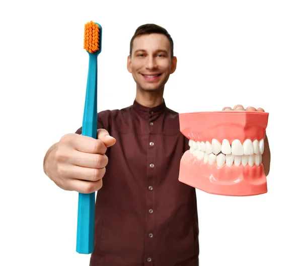 Duże zęby manekina i lekarza dentysty z szczoteczka do zębów pokazać, jak prawidłowo myć zęby — Zdjęcie stockowe