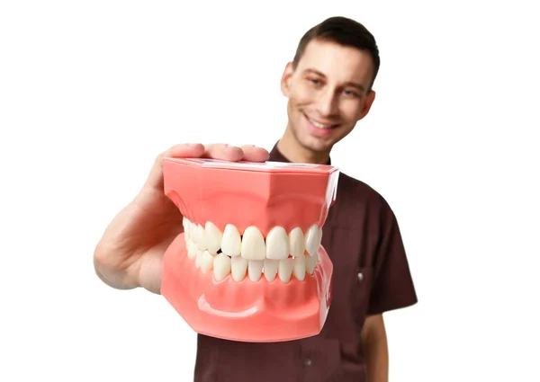 Lekarz dentysta duże zęby dummy szczęśliwy uśmiechający się na białym tle — Zdjęcie stockowe