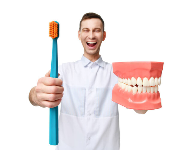 Big teeth dummy and dentist doctor with tooth brush show how to properly brush your teeth