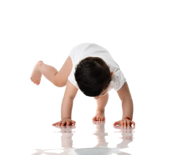 9 maand baby kind baby meisje peuter kruipen geïsoleerd op een witte — Stockfoto