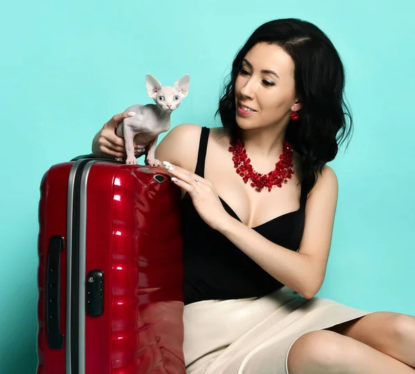 ブルネット女性で黒ブラウスベージュスカート、赤ジュエリーと時計で見てSpynx子猫猫近く旅行スーツケース荷物 — ストック写真