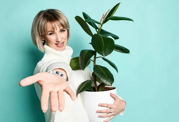 Blonde woman model in white sweater is going to move to a new apartment smiling holding green tropical ficus plant — Stock Photo, Image