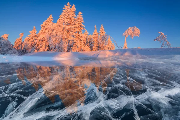 Beautiful winter sunset in the forest on the shore of a frozen lake.