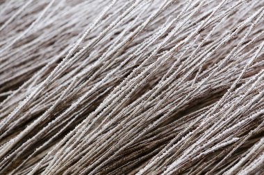 Don dondurulmuş ağaç dallarında.