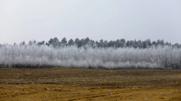 Inverno congelado, paisagem rural gelada . — Fotografia de Stock