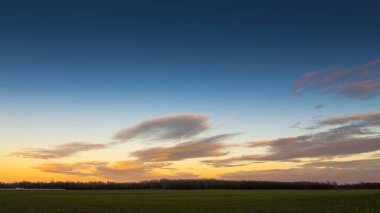 Kırsal kel ağaç ve bulutlu gökyüzü.