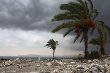 Har Megiddo (Armageddon)