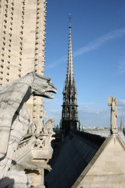 Notre Dame chimeras