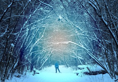 insanlar kayakçı ile orman