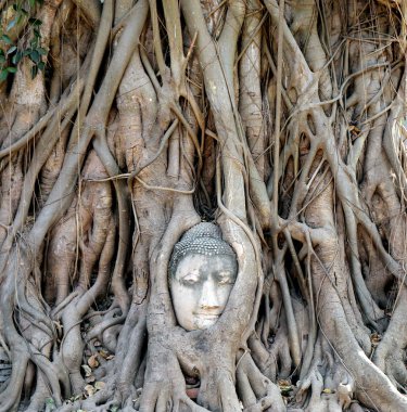 güzel Budist heykeli