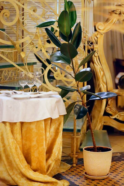 Tisch mit Gläsern dekoriert — Stockfoto