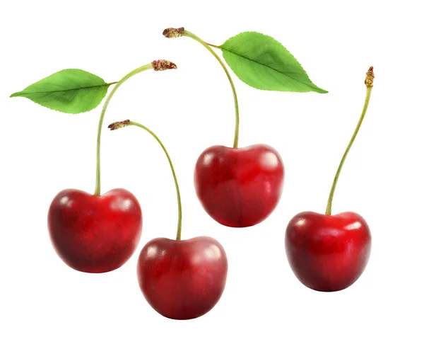 Deliciosa cereja vermelha — Fotografia de Stock
