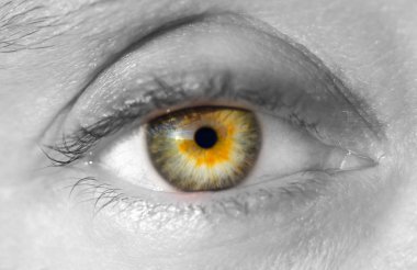 Güzel kadın gözü.