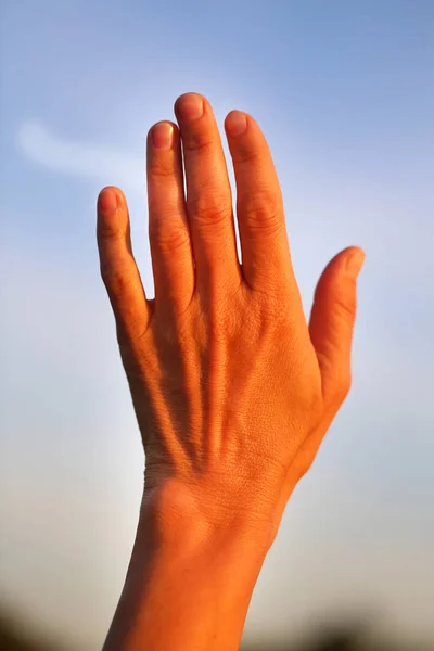 Mooie vrouwelijke hand — Stockfoto
