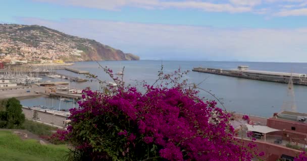 Фуншал Остров Мадейра Португалия Вид Воздуха Город Фуншал Атлантическое Побережье — стоковое видео
