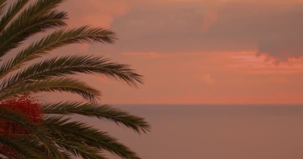 Sonnenaufgang Tropischen Inselparadies Strandpalme Orangensonne Reisen Urlaub Naturlandschaft Sommersonnenuntergang Auf — Stockvideo