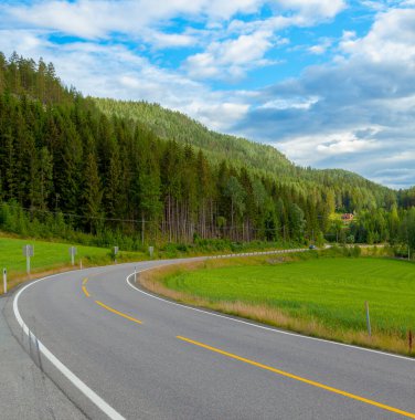 Dağlardan ve çam ağaçlarından geçen kavisli otoyol yolu. Kıvrımlı yol, patika, otoban geren çayırlara, tepelere, ormanlara, dağlık arazilere Norveç 'te, Avrupa' da özgürlük keşfi.