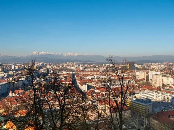 Lublaň Budovy Střeše Města Slovinsko Evropa Architektura Panoramatické Město Centrum — Stock fotografie