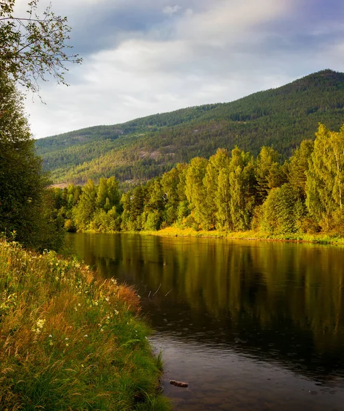 Fiume Torrente Che Scorre Tra Colline Ricoperte Pini Abeti Calma — Foto Stock