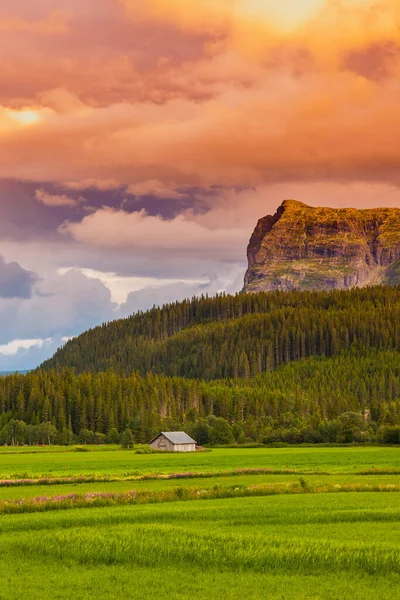 Coucher Soleil Dramatique Lever Soleil Paysage Nuageux Dessus Une Prairie — Photo