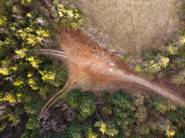 用小轿车和人穿越农村森林的空中无人侦察机俯瞰乡间土路交叉口 — 图库照片#