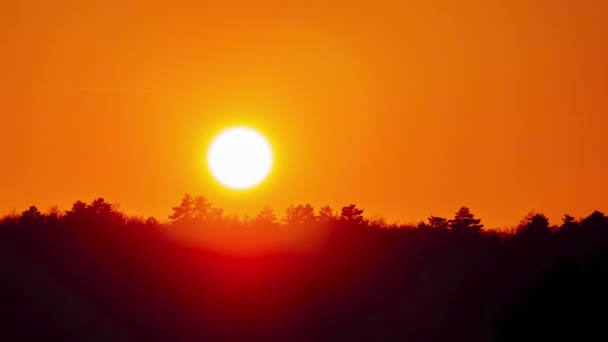 日没の空の自然時間の経過 オレンジ 赤い太陽のシルエットを地平線のタイムラプスに設定します 高速動画フィルム — ストック動画