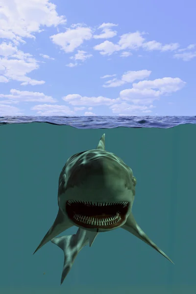 Shark, 3d render — стоковое фото