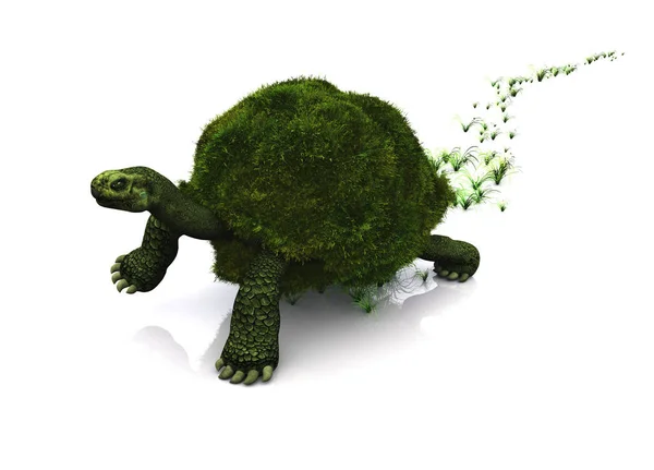 Turtle - gräs.., 3d render — Stockfoto