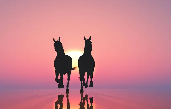 Koně při západu slunce. — Stock fotografie