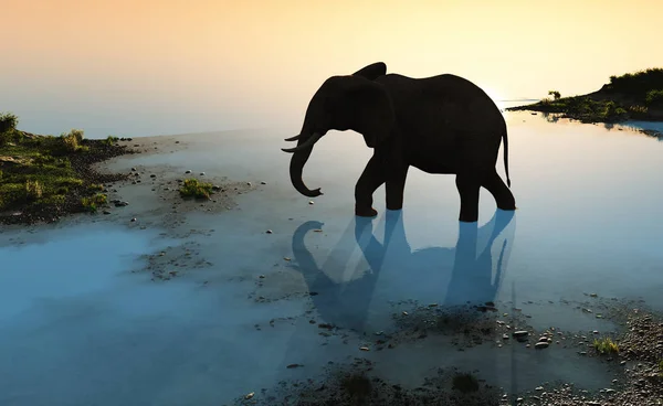 Elefante, rendering 3d — Foto Stock