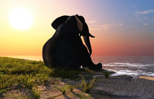 Olifant op het strand. — Stockfoto