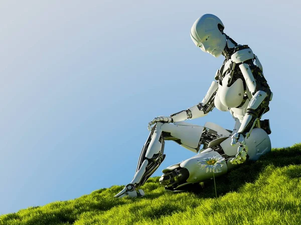 Çimlerin Üzerinde Robot Hazırlayıcı — Stok fotoğraf