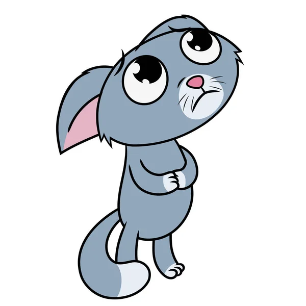 Yavru kedi bağışlanmak