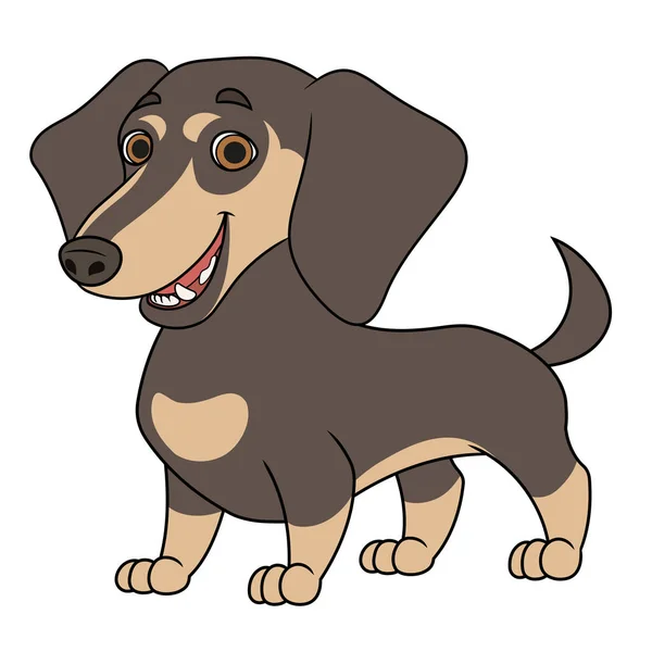 Bonito dachshund ilustração 2 — Vetor de Stock