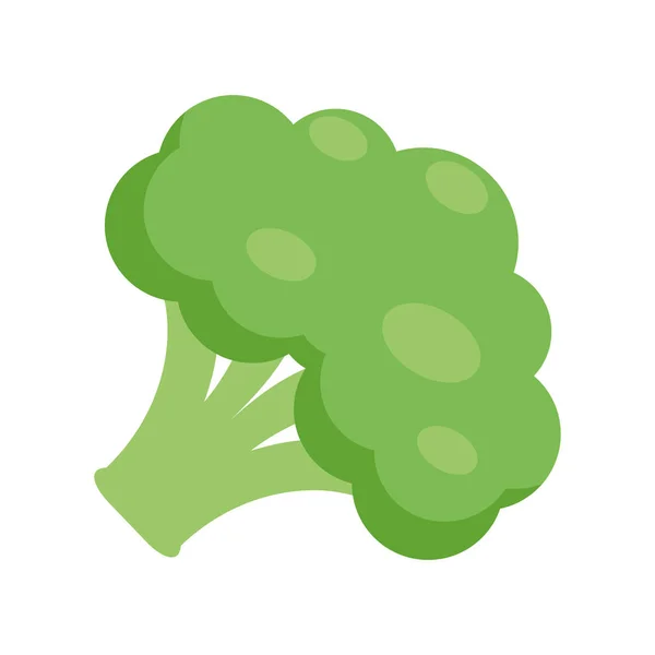 Brokkoli flaches Symbol auf weißem Hintergrund — Stockvektor