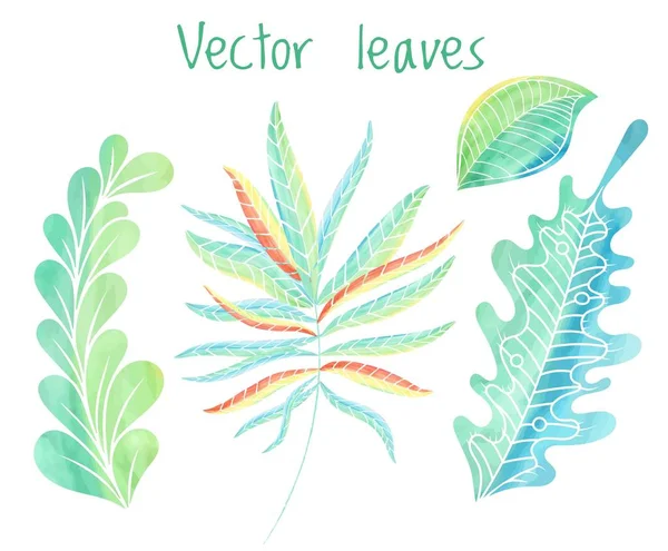 Set di foglie vettoriali — Vettoriale Stock