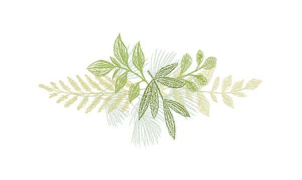 Grün botanische handgezeichnete Blattdekoration — Stockvektor