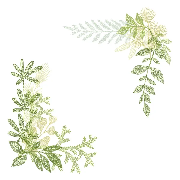 Dibujo floral a mano, composición de hojas verdes — Archivo Imágenes Vectoriales