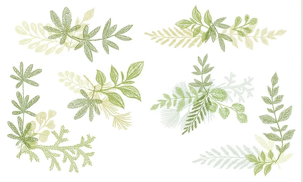 Elementos decorativos verdes florales dibujados a mano — Archivo Imágenes Vectoriales