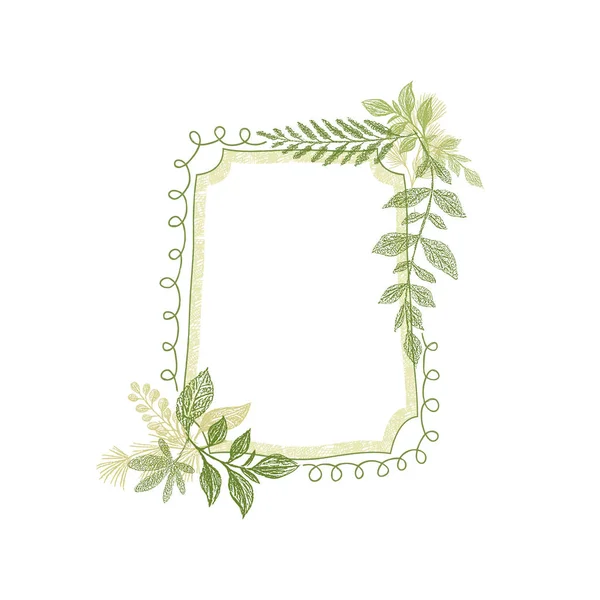 框架与绿化植物叶子装饰矢量 — 图库矢量图片
