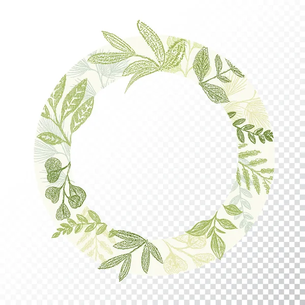 Circle frame with green branches and leaves — Stock Vector