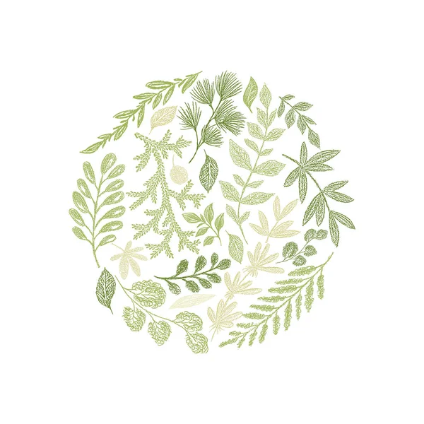 Round green floral hand drawn composition — Stock Photo, Image