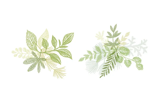 Green floral branch hand drawn composition — Stock Photo, Image